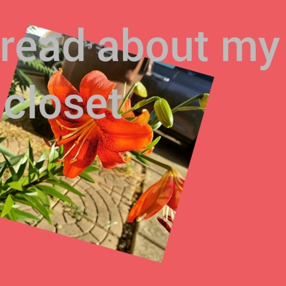 Welcome to my closet. Check out my items 😁😊 most offers accepted!! - Picture 2 of 9